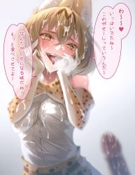 Rule 34 | 10s, 1girl, animal ears, bad id, bad pixiv id, blonde hair, blurry, blush, bow, bowtie, breasts, breath, cum, cum on body, cum on clothes, cum on hair, cum on upper body, elbow gloves, facial, gloves, hands on own cheeks, hands on own face, heart, heart-shaped pupils, highres, ishihara (kuniyoshi), kemono friends, looking at viewer, open mouth, penis, print bow, print gloves, saliva, serval (kemono friends), serval print, short hair, solo focus, speech bubble, symbol-shaped pupils, translated, white gloves, yandere trance, yellow eyes