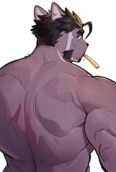 Rule 34 | 1boy, absurdres, ahoge, bara, bare back, cat boy, facial hair, furry, furry male, goatee, highres, live a hero, looking back, muscular, muscular male, syukapong, thick eyebrows, toothbrush, topless male, tsuneaki (live a hero), white background