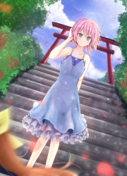 Rule 34 | 10s, 2girls, absurdres, alternate costume, alternate hairstyle, bare arms, bare shoulders, blue dress, blue eyes, blue sky, blurry, brown hair, casual, cloud, cloudy sky, collarbone, day, depth of field, dress, floral print, frilled dress, frills, hair down, hair ribbon, highres, kagerou (kancolle), kantai collection, looking at viewer, multiple girls, outdoors, petals, pink hair, ribbon, see-through, shiranui (kancolle), short hair, sky, smile, stairs, torii, tree, yamiarisu, yellow ribbon