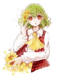 Rule 34 | 1girl, ascot, collared shirt, commentary, cropped torso, flower, flower-shaped pupils, frilled shirt collar, frills, green hair, hair flower, hair ornament, highres, kazami yuuka, long sleeves, looking at viewer, medium hair, open clothes, open mouth, open vest, plaid, plaid vest, red eyes, red vest, shirt, solo, sunflower, symbol-shaped pupils, tama (hiroshige 36), touhou, upper body, vest, wavy hair, white background, white shirt, yellow ascot