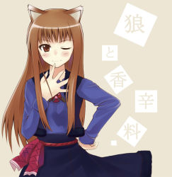 Rule 34 | 00s, animal ears, brown hair, holo, one eye closed, red eyes, solo, spice and wolf, wink, wolf ears