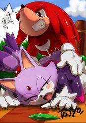 Rule 34 | 1boy, 1girl, aku tojyo, blaze the cat, blush, clothed sex, cum, cum in pussy, doggystyle, furry, hetero, knuckles the echidna, open mouth, orgasm, outdoors, saliva, sega, sex, sex from behind, sonic (series), source request, tagme, tail
