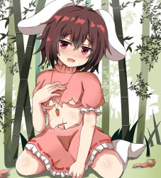 Rule 34 | 1girl, absurdres, animal ears, bamboo, bamboo forest, blush, breasts, brown hair, carrot necklace, day, dress, forest, frilled skirt, frills, guard vent jun, hand on own chest, head tilt, high collar, highres, inaba tewi, jewelry, looking at viewer, medium breasts, nature, necklace, no shoes, open mouth, outdoors, puffy short sleeves, puffy sleeves, rabbit ears, red eyes, short hair, short sleeves, sitting, skirt, solo, sweatdrop, torn clothes, torn dress, touhou, underboob, wariza, white legwear