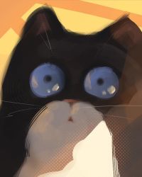 Rule 34 | :o, animal focus, blue eyes, cat, highres, looking at viewer, sam yang, staring, yellow background