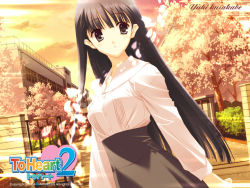 Rule 34 | 00s, 1girl, black eyes, black hair, building, bush, character name, copyright name, gate, high-waist skirt, kusakabe yuuki (to heart 2), long hair, long sleeves, looking at viewer, official art, official wallpaper, outdoors, petals, skirt, solo, to heart (series), to heart 2, tree, wall, wallpaper