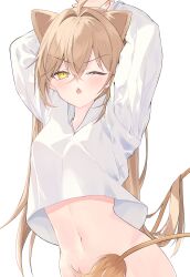 Rule 34 | 1girl, absurdres, ahoge, animal ears, arms up, blush, bottomless, breasts, brown hair, chestnut mouth, commentary request, cropped shirt, crossed bangs, dot nose, fang, hair between eyes, highres, indie virtual youtuber, lion ears, lion girl, lion tail, long hair, long sleeves, looking at viewer, navel, one eye closed, open mouth, out-of-frame censoring, rurudo lion, shirt, simple background, skin fang, small breasts, solo, stretching, tachibana shiro, tail, very long hair, virtual youtuber, white background, white shirt, yellow eyes