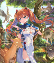 Rule 34 | 1girl, absurdres, animal, bird, black thighhighs, blue capelet, breasts, brown hair, capelet, cleavage, clip studio paint (medium), day, deer, diamond (gemstone), dress, flower, frilled capelet, frilled thighhighs, frills, hair flower, hair ornament, hands up, highres, long hair, medium breasts, mosta (lo1777789), original, outdoors, red flower, solo, squirrel, staff, thighhighs, tree, twintails, very long hair, white dress