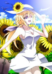 Rule 34 | 1girl, blonde hair, blue sky, breasts, charlotte dunois, cleavage, cloud, commentary request, cowboy shot, day, dress, flower, hat, hat flower, highres, horizon, infinite stratos, kuroda ariake, large breasts, long hair, low ponytail, ocean, outdoors, purple eyes, sky, sleeveless, sleeveless dress, solo, suitcase, sun hat, sundress, sunflower, white dress, white hat