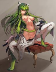 Rule 34 | 1girl, animal ears, breasts, c.c., code geass, furry, furry female, green hair, highres, long hair, looking at viewer, medium breasts, nipples, open clothes, parted lips, puffy nipples, pussy, smile, solo, tail, yellow eyes