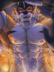 Rule 34 | 1boy, abs, absurdres, animal ears, armpits, backlighting, bara, beige fur, blush, completely nude, drunk, facial hair, fur trim, furry, furry male, goatee, highres, large pectorals, live a hero, looking at viewer, male focus, male pubic hair, mature male, muscular, muscular male, nipples, nude, onsen, open mouth, orange fur, out-of-frame censoring, pectorals, pubic hair, ryekie (drunk tiger) (live a hero), ryekie (live a hero), saro (rotsw 00022), short hair, solo, steam, sweat, tiger boy, tiger ears, two-tone fur