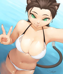 Rule 34 | 1girl, animal ears, arm up, artist name, bikini, breasts, brown hair, cat ears, cat girl, cat tail, cleavage, collarbone, dutch angle, forehead, green eyes, highres, large breasts, looking at viewer, navel, original, partially submerged, selfie, seraziel, smile, solo, standing, swimsuit, tail, v, water, wet, white bikini