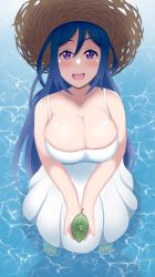 Rule 34 | 1girl, absurdres, alternate hairstyle, artist name, artist request, bare shoulders, barefoot, barefoot sandals (jewelry), blue hair, blush, breasts, brown hat, cleavage, close-up, collarbone, dress, feet, female focus, frog, hair between eyes, hair down, hat, highres, holding, holding frog, holding leaf, large breasts, leaf, long hair, looking at viewer, love live!, love live! sunshine!!, matsuura kanan, miniskirt, ocean, parted lips, plaid, plaid dress, plaid skirt, pleated, pleated dress, pleated skirt, purple eyes, sandals, skirt, sleeveless, sleeveless dress, smile, soaking feet, solo, straw hat, sun hat, sundress, toes, white dress, white skirt