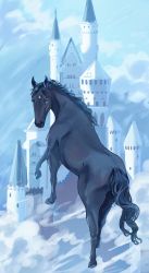 Rule 34 | absurdres, animal focus, bad id, bad pixiv id, blue eyes, castle, commentary, daring tact (racehorse), from above, full body, highres, horse, leg up, looking at viewer, nayuta ggg, no humans, real life, tagme