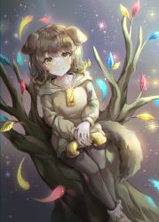 Rule 34 | 1girl, animal ears, bare legs, beige sweater, blush, boots, breasts, brown hair, closed mouth, collarbone, commentary request, dog ears, dog tail, dutch angle, feet out of frame, glint, gradient background, holding, holding phone, hololive, hood, hoodie, inugami korone, looking at viewer, medium hair, mirage (rairudiseu), phone, sitting, sky, small breasts, smile, solo, star (sky), starry sky, tail, tree, virtual youtuber, white footwear, yellow eyes, zipper pull tab