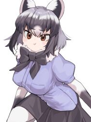 Rule 34 | 1girl, :t, a888 n22, animal ears, arms at sides, black bow, black bowtie, black hair, black skirt, blush, bodystocking, bow, bowtie, breast pocket, breasts, brown eyes, closed mouth, common raccoon (kemono friends), eyelashes, fur collar, grey hair, hair between eyes, highres, kemono friends, large breasts, layered sleeves, leaning forward, long sleeves, looking at viewer, medium hair, miniskirt, multicolored hair, pale skin, pleated skirt, pocket, pout, puffy short sleeves, puffy sleeves, raccoon ears, shirt, short over long sleeves, short sleeves, simple background, skirt, solo, taut clothes, tsurime, v-shaped eyebrows, white background, white hair