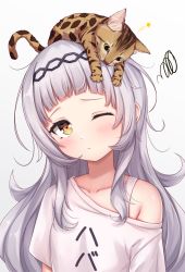 Rule 34 | 1girl, alternate costume, animal, animal on head, arata (xin), blunt bangs, blush, brown eyes, cat, cat on head, closed mouth, collarbone, commentary request, grey hair, hair ornament, hat, highres, hololive, long hair, looking at viewer, murasaki shion, off shoulder, on head, one eye closed, shirt, short sleeves, simple background, single bare shoulder, smile, solo, upper body, virtual youtuber, witch hat