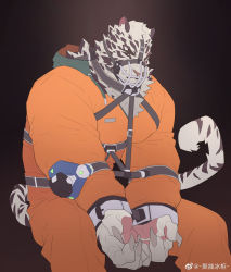 Rule 34 | 1boy, absurdres, animal ears, arknights, bara, bodysuit, bound, bound wrists, chest harness, feet out of frame, furry, furry male, harness, highres, hood, hood down, ju neng binggui, large pectorals, looking at viewer, male focus, mask, mountain (arknights), mouth mask, muscular, muscular male, orange bodysuit, pectorals, scar, scar across eye, scar on face, short hair, solo, tail, tiger boy, tiger ears, tiger tail, white fur