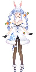 Rule 34 | 1girl, animal ear fluff, animal ears, bare shoulders, black gloves, black pantyhose, blue hair, blush, bow, braid, breasts, bridal garter, carrot, carrot hair ornament, cleavage, coat, don-chan (usada pekora), food-themed hair ornament, footwear bow, full body, fur trim, gloves, hair bow, hair ornament, hololive, leotard, long hair, looking at viewer, official art, open mouth, orange eyes, pantyhose, playboy bunny, pom pom (clothes), print coat, rabbit ears, rabbit girl, scarf, sleeveless, small breasts, solo, standing, straight-on, teeth, thick eyebrows, transparent background, twin braids, twintails, upper teeth only, usada pekora, usada pekora (1st costume), virtual youtuber, white bow, white coat, white footwear, white hair, yuuki hagure, | |