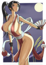 Rule 34 | 1girl, absurdres, breasts, fatal fury, highres, large breasts, ponytail, shiranui mai, solo
