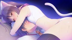 Rule 34 | 1girl, aisare roommate, animal ears, bare shoulders, blush, breasts, cat ears, elbow gloves, flat chest, fumii, game cg, gloves, housenji yui, hug, legs, long hair, lying, necktie, night, open mouth, panties, pink eyes, purple hair, short hair, smile, sweat, tail, thighs, underwear, wince, yu-ta