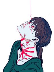 Rule 34 | 1girl, bad id, bad twitter id, black hair, blood, blood drip, blood on face, blue shirt, chainsaw man, highres, long hair, looking up, mitaka asa, pecopecosupipi, red eyes, shirt, simple background, solo, twintails, white background
