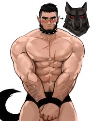 Rule 34 | 1boy, arm hair, bandaid, bandaid on face, bara, black hair, black male underwear, bound, bound wrists, collar, covering crotch, covering privates, dopey (dopq), furry, furry male, highres, looking at viewer, male focus, male underwear, mature male, muscular, muscular male, original, pectorals, pointy ears, short hair, solo, spiked collar, spikes, topless male, underwear, werewolf