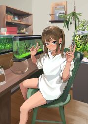 Rule 34 | 1girl, absurdres, aquarium, book, bookshelf, brown hair, cabinet, chair, double v, fish tank, flower, flower pot, grey eyes, grey shirt, highres, indoors, lamp, looking at viewer, mmmo3, on chair, original, oversized clothes, oversized shirt, shirt, shorts, sidelocks, sitting, solo, table, twintails, v, white shirt