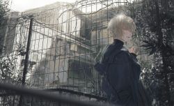Rule 34 | 1boy, black jacket, blonde hair, blue eyes, building, cat, chain-link fence, fence, highres, jacket, looking at viewer, male focus, orexxxo, original, outdoors, plant, solo