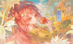 Rule 34 | 1girl, absurdres, alternate costume, candy apple, character name, chinese commentary, cloud, colored eyelashes, commentary, commentary request, day, english commentary, field, flower, flower field, food, from behind, green kimono, green sleeves, hair flower, hair ornament, high ponytail, highres, holding, holding food, japanese clothes, kimono, long hair, long sleeves, looking at viewer, maccha (mochancc), mahou shoujo madoka magica, mahou shoujo madoka magica (anime), mixed-language commentary, outdoors, parted lips, ponytail holder, red eyes, red hair, sakura kyoko, solo, sunflower, sunflower field, tassel, tassel hair ornament, upper body, watermark, weibo logo, weibo watermark, yellow flower, yukata