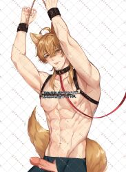 Rule 34 | 1boy, abs, animal ears, arms up, blonde hair, blue pants, cat ears, cat tail, closed mouth, collar, cuffs, cum on penis, genshin impact, green eyes, hair between eyes, handcuffs, highres, long hair, male focus, muscular, muscular male, pants, penis, rourouki, tail, thoma (genshin impact), topless male, yellow tail
