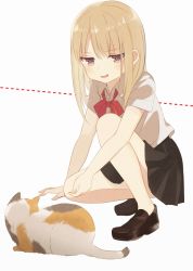 Rule 34 | 1girl, black skirt, blonde hair, blush, bow, bowtie, boyano, brown eyes, cat, collared shirt, dotted line, loafers, long hair, no socks, original, parted lips, red bow, red bowtie, red ribbon, ribbon, school uniform, shirt, shoes, short sleeves, skirt, smirk, solo, squatting, white background, white shirt