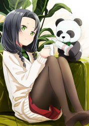 Rule 34 | 1girl, abe kanari, black hair, braid, brown pantyhose, closed mouth, commentary request, couch, cup, forehead, green eyes, green shirt, hair over shoulder, high school fleet, highres, holding, jacket, kaburagi minami, knees up, pantyhose under shorts, long hair, long sleeves, looking at viewer, low twintails, mug, no shoes, on couch, pantyhose, parted bangs, plaid, plaid shirt, plant, red shorts, shirt, short shorts, shorts, sitting, smile, soles, solo, stuffed animal, stuffed panda, stuffed toy, twin braids, twintails, white jacket