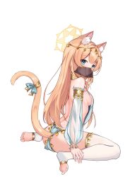 Rule 34 | 1girl, absurdres, alternate costume, animal ear fluff, animal ears, ass, blue archive, blue eyes, blush, breasts, cat ears, cat tail, closed mouth, dancer, detached leggings, detached sleeves, halo, harem outfit, highres, long hair, looking at viewer, mari (blue archive), mouth veil, orange hair, parted lips, rinringyo, see-through, see-through sleeves, shoes, sideboob, simple background, sitting, small breasts, solo, tail, thighhighs, toes, veil, wariza, white background, white thighhighs, yellow halo