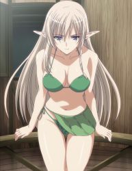 Rule 34 | 1girl, absurdres, alleyne (queen&#039;s blade), bare shoulders, bikini, blonde hair, blue eyes, breasts, collarbone, elf, female focus, green bikini, highres, large breasts, long hair, navel, pointy ears, queen&#039;s blade, sarong, screencap, side-tie bikini bottom, sitting, solo, stitched, swimsuit, thigh gap, thighs, third-party edit