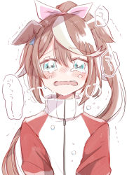 Rule 34 | 1girl, animal ears, blue eyes, blush, brown hair, commentary request, crying, crying with eyes open, hair between eyes, hair ribbon, high ponytail, highres, horse ears, jacket, long hair, looking at viewer, mito (go!go!king!), multicolored hair, nose blush, open mouth, pink ribbon, ponytail, ribbon, simple background, solo, streaked hair, tears, tokai teio (umamusume), track jacket, translation request, trembling, umamusume, upper body, wavy mouth, white background, white hair, white jacket