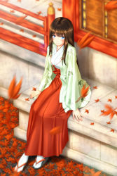 Rule 34 | 1girl, autumn leaves, bird, blue eyes, blush, breasts, brown hair, crane (animal), female focus, full body, highres, japanese clothes, k2-atelier, leaning forward, long hair, looking at viewer, miko, original, outdoors, sandals, sitting, skirt, smile, socks, solo, wide sleeves, zouri