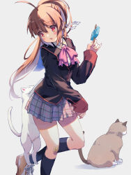Rule 34 | 1girl, ahoge, akayama yukihe, bandaid, bandaid on knee, bandaid on leg, bell, black jacket, black socks, blazer, blush, bow, brown cat, brown hair, cat, commentary, eyes visible through hair, food, foot out of frame, grey background, grey skirt, hair bell, hair between eyes, hair ornament, hair ribbon, hand up, highres, holding, holding food, holding popsicle, jacket, jingle bell, kneehighs, little busters!, little busters! school uniform, long hair, looking at animal, looking down, miniskirt, natsume rin, open mouth, pink bow, plaid, plaid skirt, pleated skirt, ponytail, popsicle, red eyes, ribbon, school uniform, sidelighting, simple background, skirt, sleeves past wrists, socks, solo, standing, standing on one leg, thighs, white cat, white ribbon