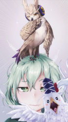 Rule 34 | 0 0, 1girl, animal, animal on head, animalization, bird, bird on head, blurry, blurry background, blush stickers, brown eyes, chicken, closed mouth, clothed animal, commentary request, earmuffs, emphasis lines, eyelashes, feathers, gradient background, green eyes, green hair, grey background, hair between eyes, half-closed eyes, hat, looking at viewer, messy hair, mononobe no futo, no headwear, oinari sanda, on head, one eye closed, owl, portrait, profile, soga no tojiko, sparkle, tate eboshi, touhou, toyosatomimi no miko