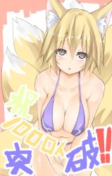 Rule 34 | 1girl, absurdres, alternate costume, animal ears, bad id, bad twitter id, bare legs, bare shoulders, bikini, blonde hair, blue bikini, breasts, collarbone, colored eyelashes, eyebrows, eyes visible through hair, fox ears, hair between eyes, highres, large breasts, leaning forward, looking at viewer, masuo, multiple tails, navel, open mouth, short eyebrows, short hair, sideboob, simple background, solo, swimsuit, tail, thick eyebrows, touhou, yakumo ran, yellow eyes