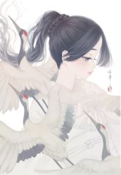 Rule 34 | 1girl, bird, black hair, braid, bride, closed mouth, commentary request, crane (animal), dated commentary, from side, grey eyes, highres, japanese clothes, kimono, long hair, looking away, obi, obijime, original, ponytail, profile, red-crowned crane, sash, seal impression, shiromuku, signature, simple background, solo, tassel, tears, uchikake, upper body, ushiyama ame, white background, white kimono