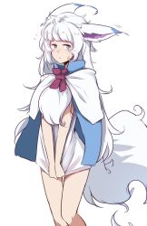 Rule 34 | a:n (angrynum), animal ears, fate (series), fou (fate), long hair, personification, simple background, solo, tail, white background, white hair