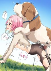 Rule 34 | 1girl, akaichobi, animal, ass, bestiality, blush, breasts, censored, cum, d4dj, dog, doggystyle, grass, hetero, inuyose shinobu, nipples, open mouth, outdoors, penis, pink hair, saliva, sex, sex from behind, short hair, small breasts, tagme, torn clothes, torn legwear, translation request, yellow eyes