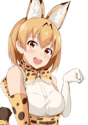 Rule 34 | 10s, 1girl, :d, absurdres, animal ears, bare shoulders, blonde hair, bow, bowtie, breasts, brown eyes, elbow gloves, extra ears, gloves, head tilt, high-waist skirt, highres, kemono friends, looking at viewer, medium breasts, nemo 1988, open mouth, paw pose, serval (kemono friends), serval print, serval tail, shirt, short hair, simple background, skirt, sleeveless, sleeveless shirt, smile, solo, tail, tareme, tray, upper body, white background, white shirt