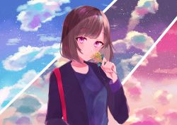 Rule 34 | 1girl, absurdres, bad id, bad pixiv id, blush, breasts, brown hair, closed mouth, cloud, flower, hand up, highres, holding, holding flower, looking at viewer, original, pink eyes, short hair, sidelocks, sinobi illust, sky, small breasts, smile, solo