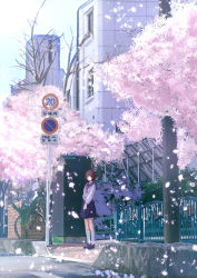 Rule 34 | 1girl, bad id, bad pixiv id, bicycle, blue footwear, blue sailor collar, blue skirt, bow, bowtie, brown hair, building, cherry blossoms, commentary request, day, fence, highres, long hair, original, outdoors, pleated skirt, red bow, red bowtie, red eyes, road, road sign, sailor collar, scenery, school uniform, serafuku, shirt, short hair, sign, skirt, smile, socks, solo, soraciel, spring (season), standing, street, tree, uniform, white shirt