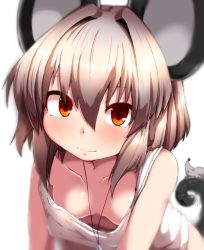 Rule 34 | 1girl, animal ears, blurry, breasts, cleavage, downblouse, extended downblouse, jewelry, looking at viewer, mouse (animal), mouse ears, mouse tail, nazrin, no bra, pendant, peso (cheese company), red eyes, short hair, silver hair, simple background, small breasts, smile, solo, tail, touhou, white background