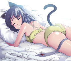 Rule 34 | 00s, 1girl, animal ears, ass, bad id, bad pixiv id, cat ears, cat tail, closed eyes, kasai shin, lingerie, necktie, panties, sanya v. litvyak, sleeping, solo, strike witches, tail, underwear, world witches series