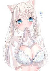 Rule 34 | 1girl, absurdres, animal ear fluff, animal ears, blue bra, blue eyes, blush, bra, breasts, cat ears, cat girl, clothes in mouth, highres, kmr 7m, long hair, medium breasts, mouth hold, original, shirt, shirt in mouth, short sleeves, solo, translation request, twintails, underwear, upper body, white hair, white shirt