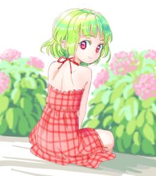 Rule 34 | 1girl, aged down, back, bare shoulders, commentary request, dress, flower, from behind, green hair, kazami yuuka, looking at viewer, looking back, outdoors, plaid, plaid dress, red dress, red eyes, s-a-murai, short hair, sitting, sleeveless, sleeveless dress, smile, solo, touhou