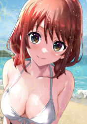 Rule 34 | 1girl, beach, bikini, blush, breasts, brown eyes, brown hair, cleavage, closed mouth, collarbone, commentary, day, girls band cry, halterneck, highres, iseri nina, light particles, looking at viewer, low twintails, makaichance, medium breasts, ocean, short hair, short twintails, sidelocks, smile, solo, swimsuit, twintails, variant set, white bikini